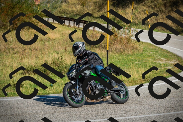 202509131025-DSC01587_c1_