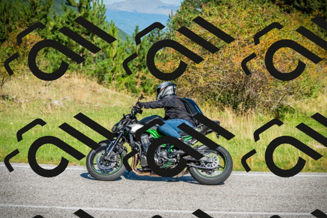 202509131025-DSC01588_c1_