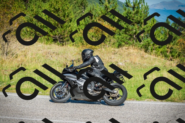 202509131026-DSC01598_c1_