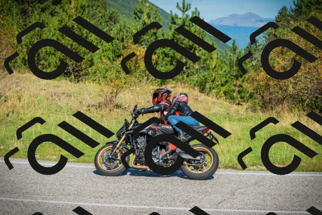 202509131030-DSC01625_c1_