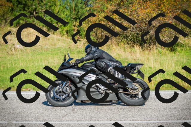 202509131030-DSC01640_c1_