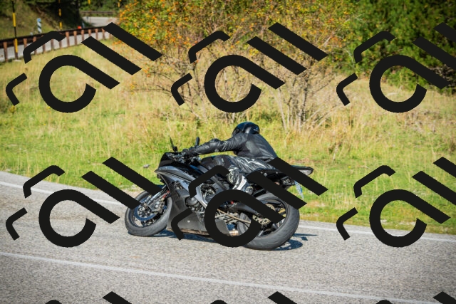 202509131030-DSC01641_c1_