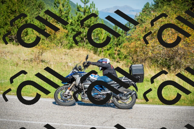 202509131031-DSC01653_c1_