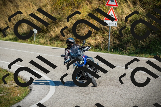 202509131031-DSC01656_c1_