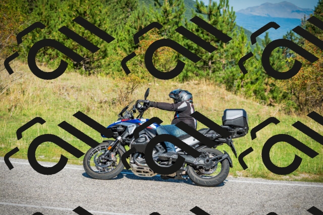 202509131031-DSC01659_c1_