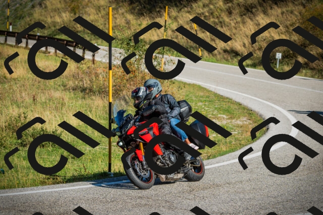 202509131032-DSC01664_c1_