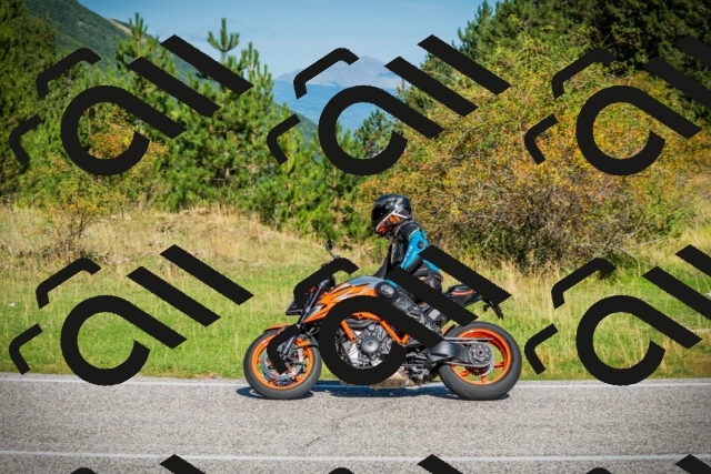 202509131035-DSC01702_c1_