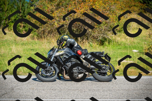 202509131041-DSC01726_c1_