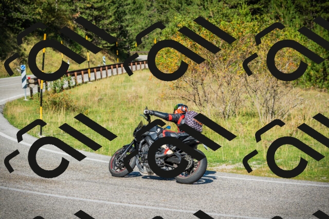 202509131041-DSC01744_c1_