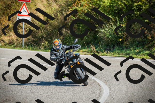 202509131042-DSC01746_c1_