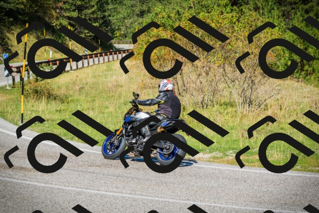 202509131044-DSC01759_c1_