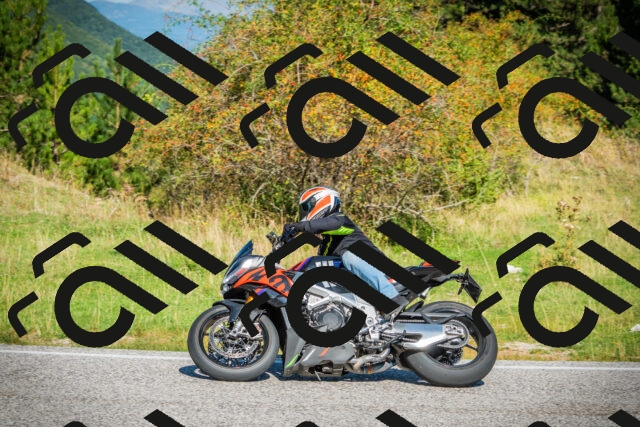 202509131049-DSC01808_c1_