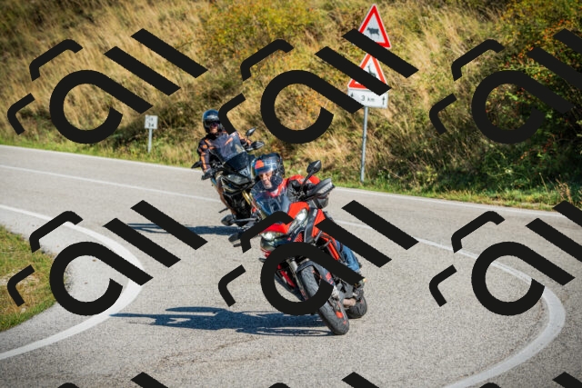 202509131050-DSC01817_c1_