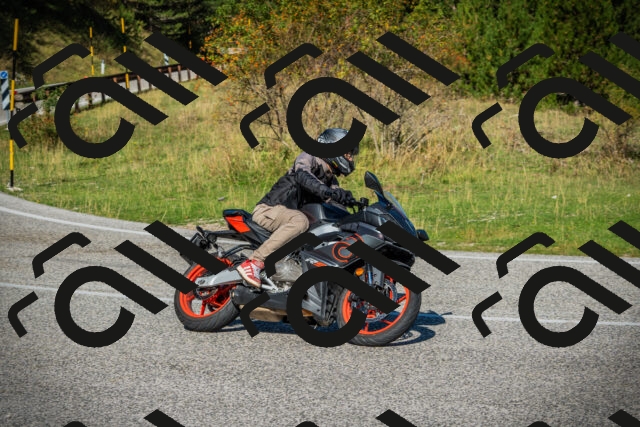 202509131052-DSC01836_c1_