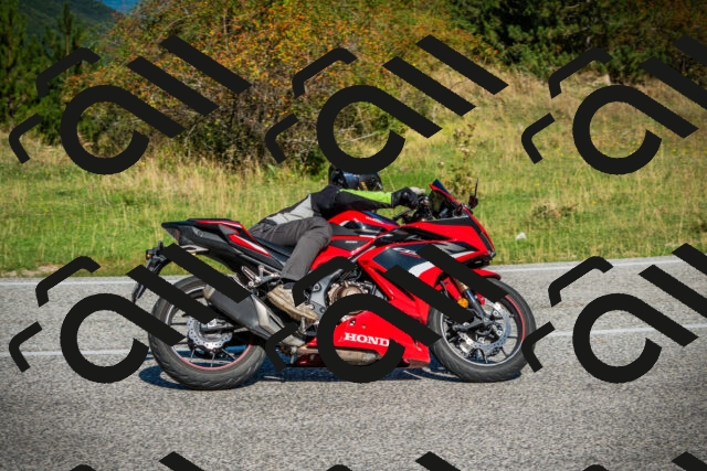 202509131052-DSC01838_c1_