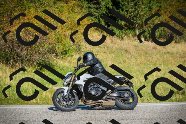 202509131052-DSC01843_c1_