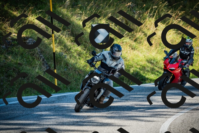 202509131054-DSC01877_c1_