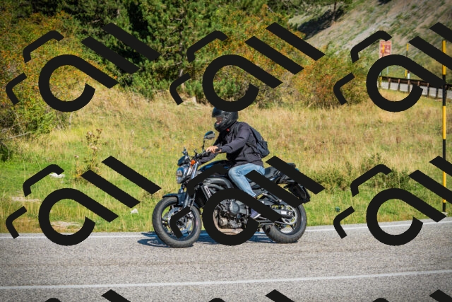 202509131057-DSC01905_c1_