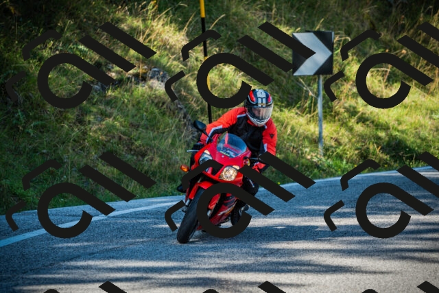 202509131100-DSC01927_c1_