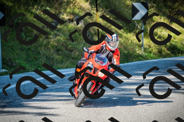 202509131100-DSC01928_c1_