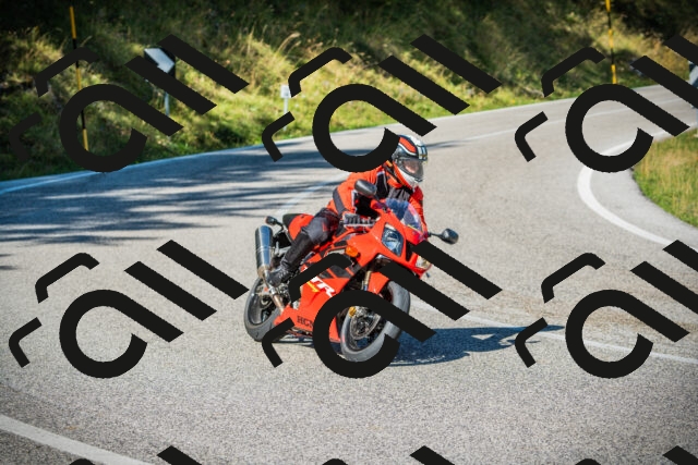 202509131100-DSC01929_c1_