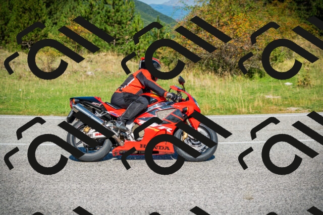 202509131100-DSC01930_c1_