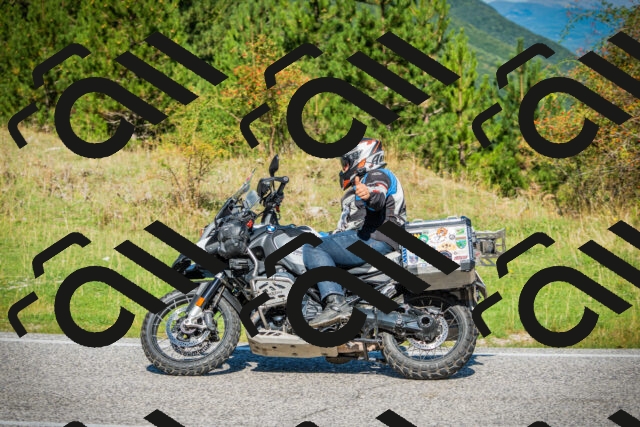 202509131100-DSC01936_c1_