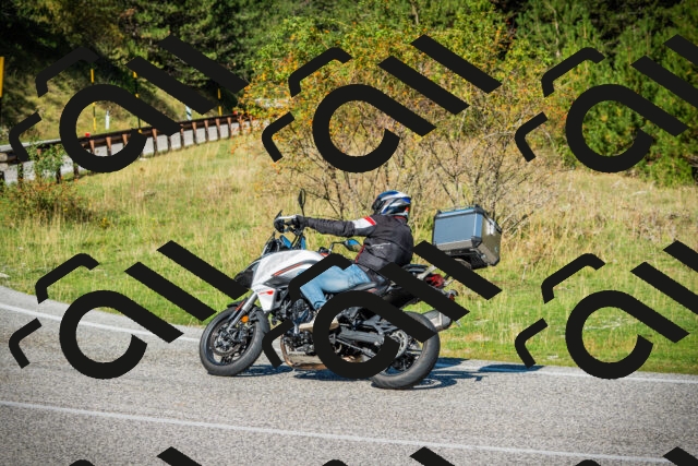 202509131100-DSC01948_c1_