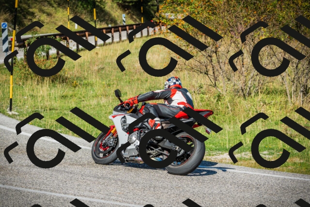 202509131103-DSC01968_c1_