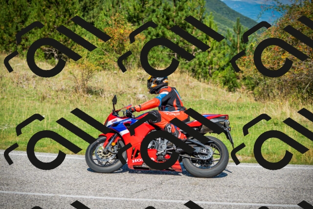 202509131103-DSC01973_c1_