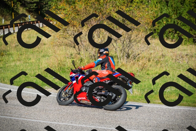 202509131103-DSC01974_c1_