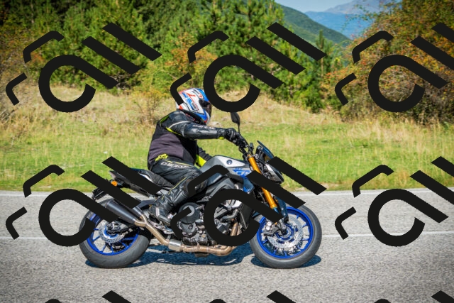 202509131104-DSC01992_c1_