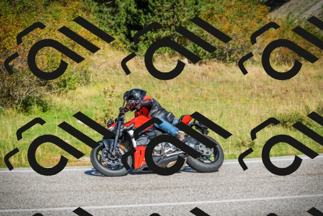 202509131105-DSC02029_c1_