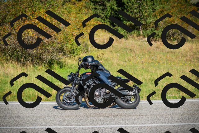 202509131105-DSC02031_c1_