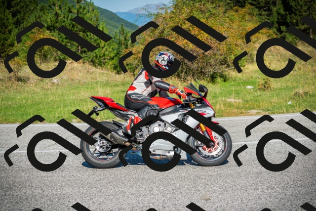 202509131105-DSC02046_c1_