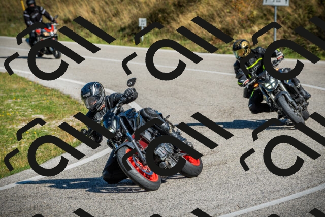 202509131106-DSC02066_c1_