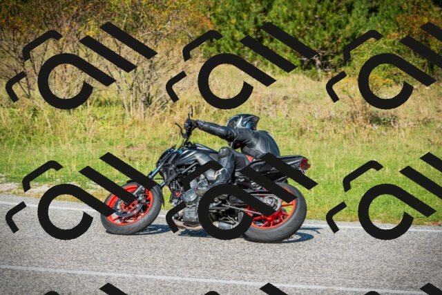 202509131106-DSC02068_c1_