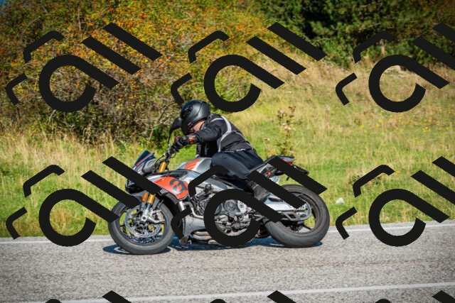 202509131106-DSC02071_c1_