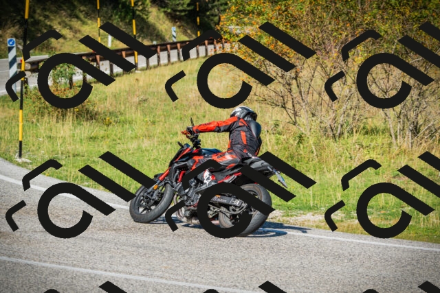 202509131106-DSC02078_c1_