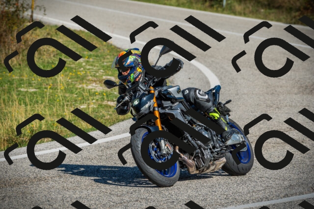 202509131107-DSC02089_c1_