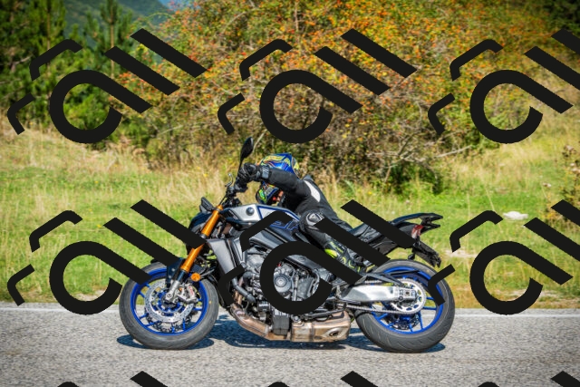 202509131107-DSC02090_c1_