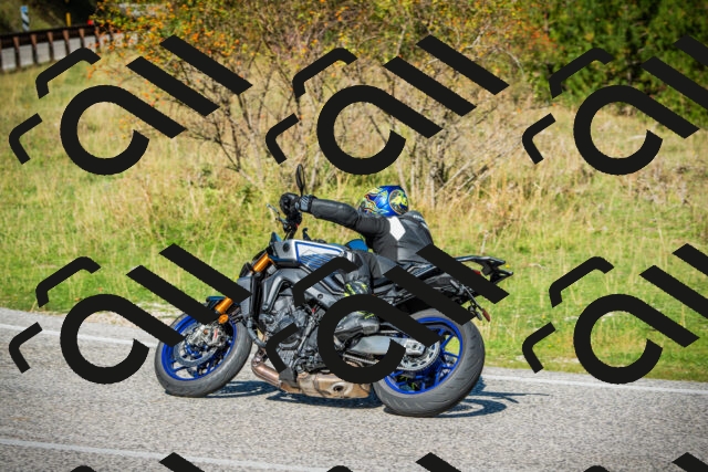 202509131107-DSC02091_c1_