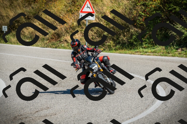 202509131107-DSC02093_c1_