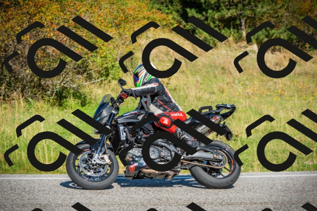 202509131107-DSC02098_c1_