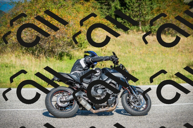 202509131107-DSC02118_c1_