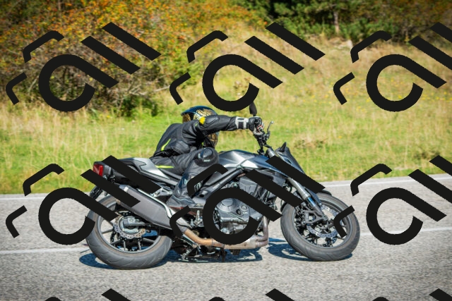 202509131108-DSC02139_c1_