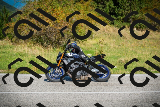 202509131109-DSC02156_c1_