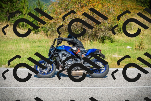 202509131109-DSC02169_c1_