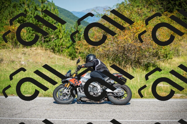 202509131110-DSC02184_c1_