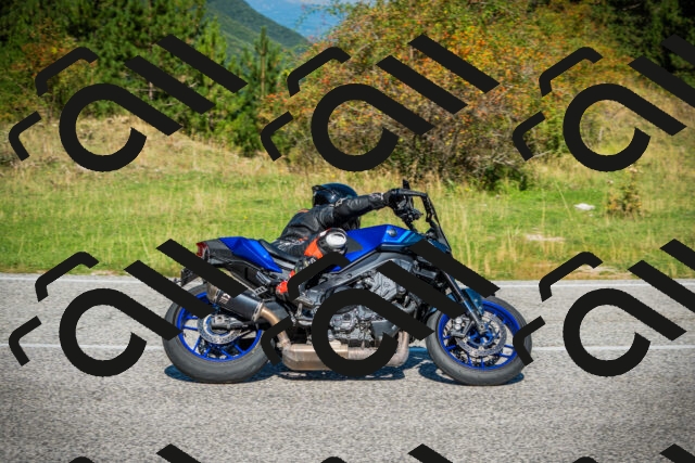 202509131110-DSC02192_c1_